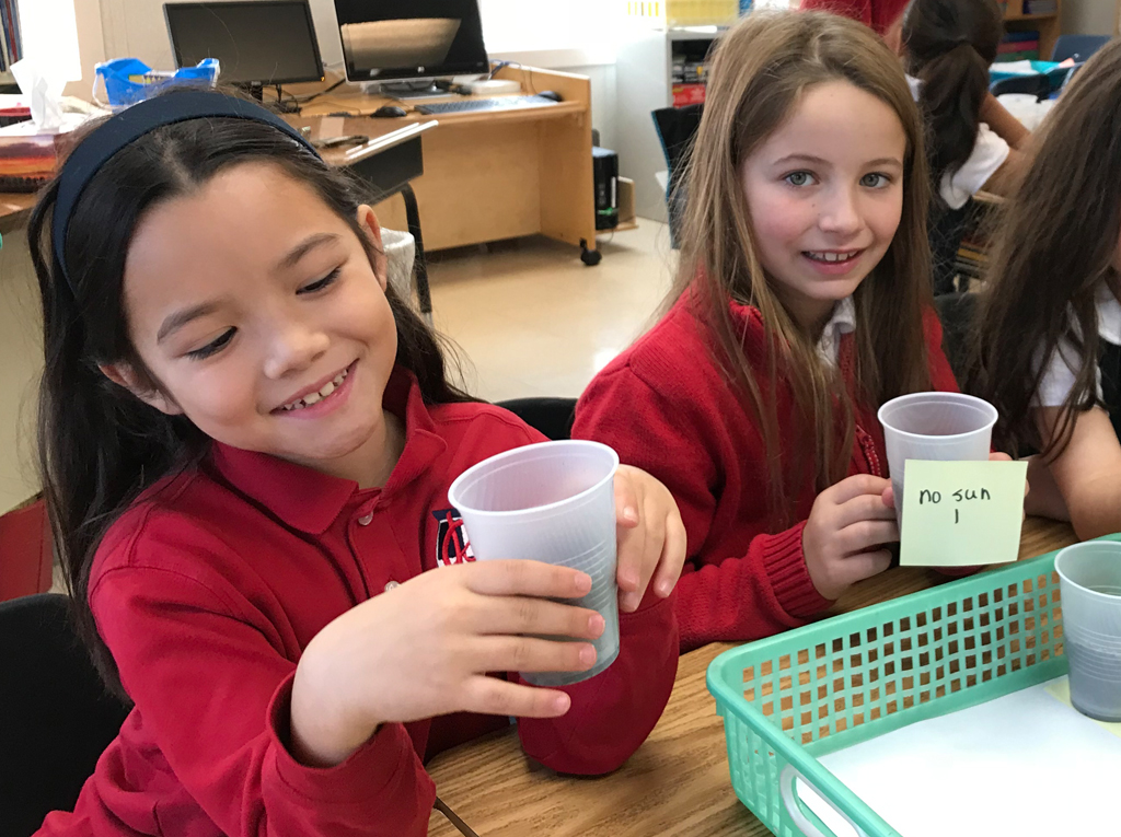 Private Elementary School Somerset NJ | Preparatory School Near New Jersey | Students science experiment