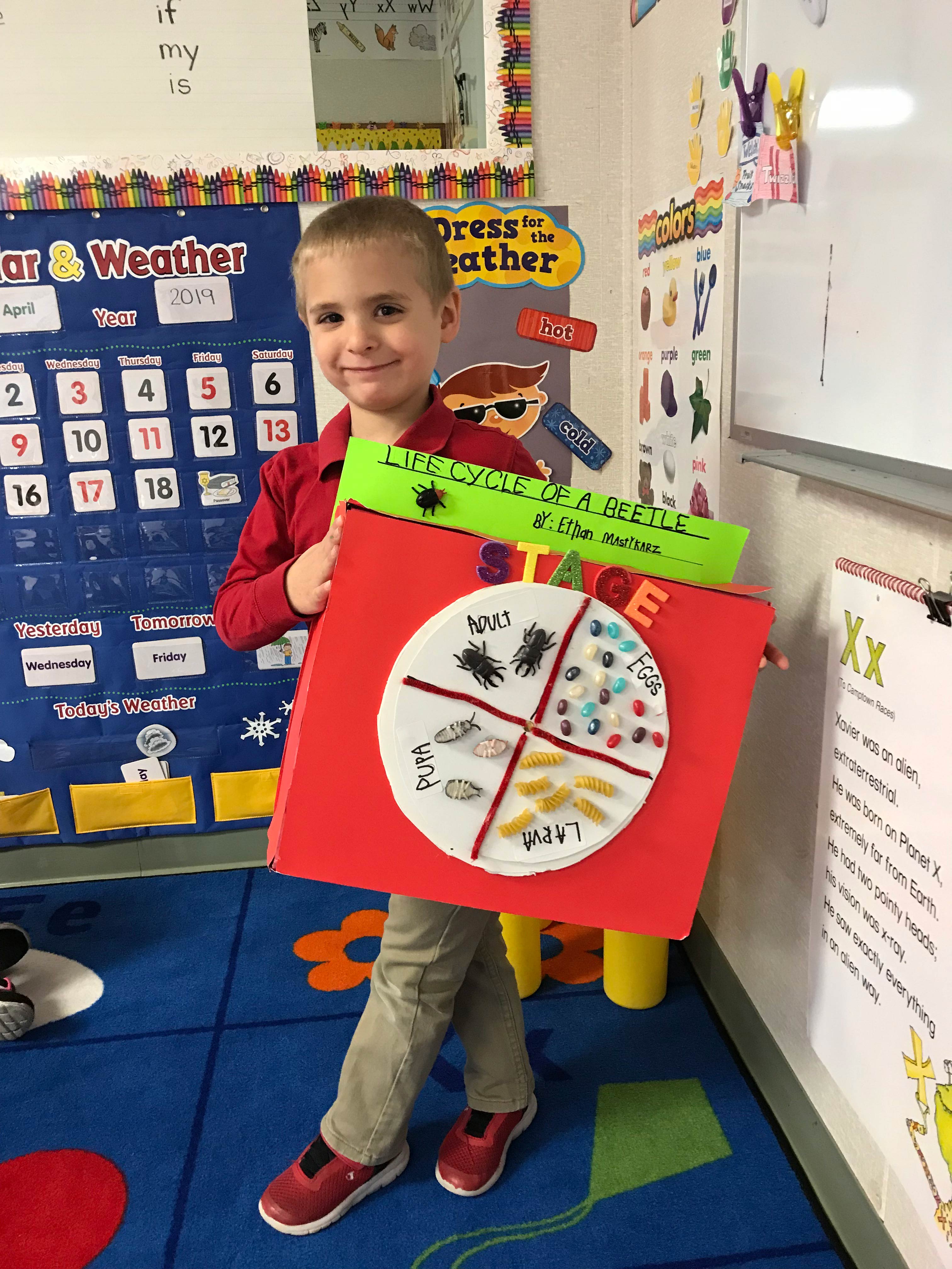 Kindergarten A Science