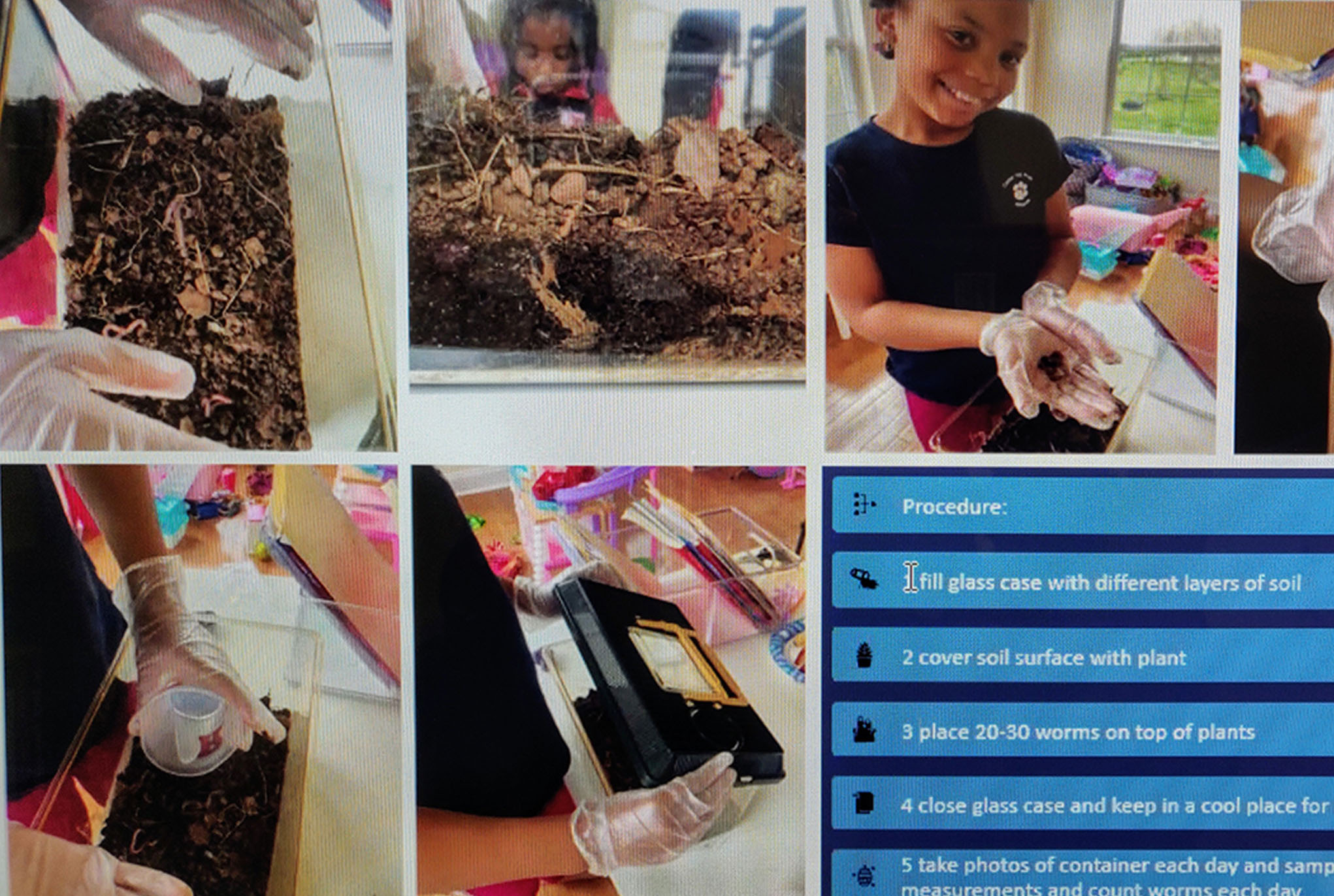 Grade 3 Science Fair