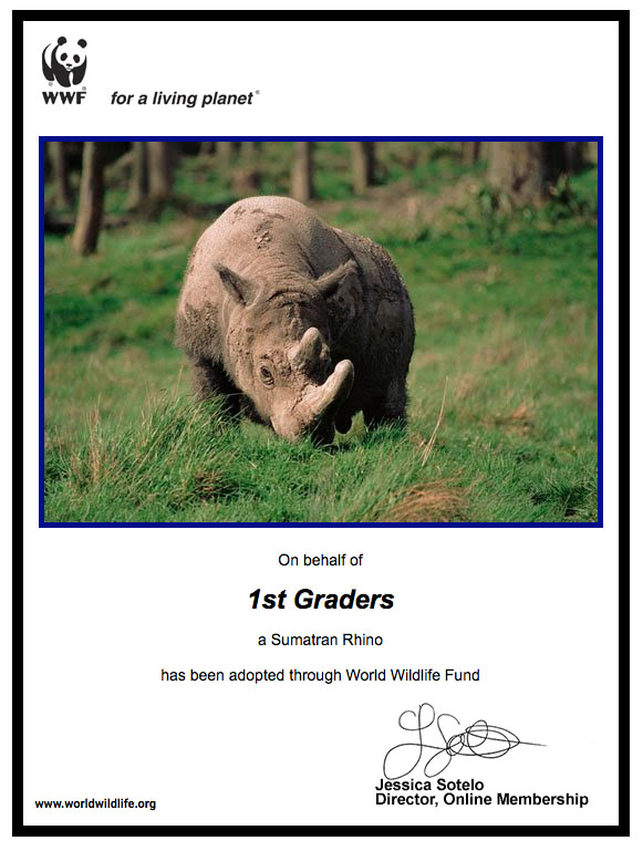 Cedar Hill Prep School Grade 1