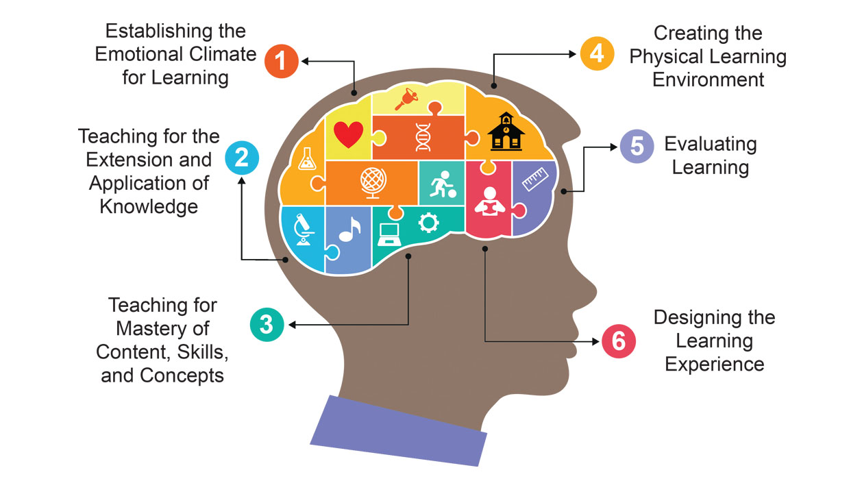 Brain-Targeted Teaching Model