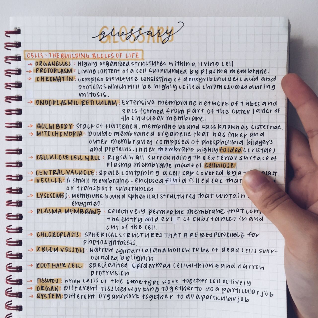 So Noted: Four Common Mistakes on Note-taking
