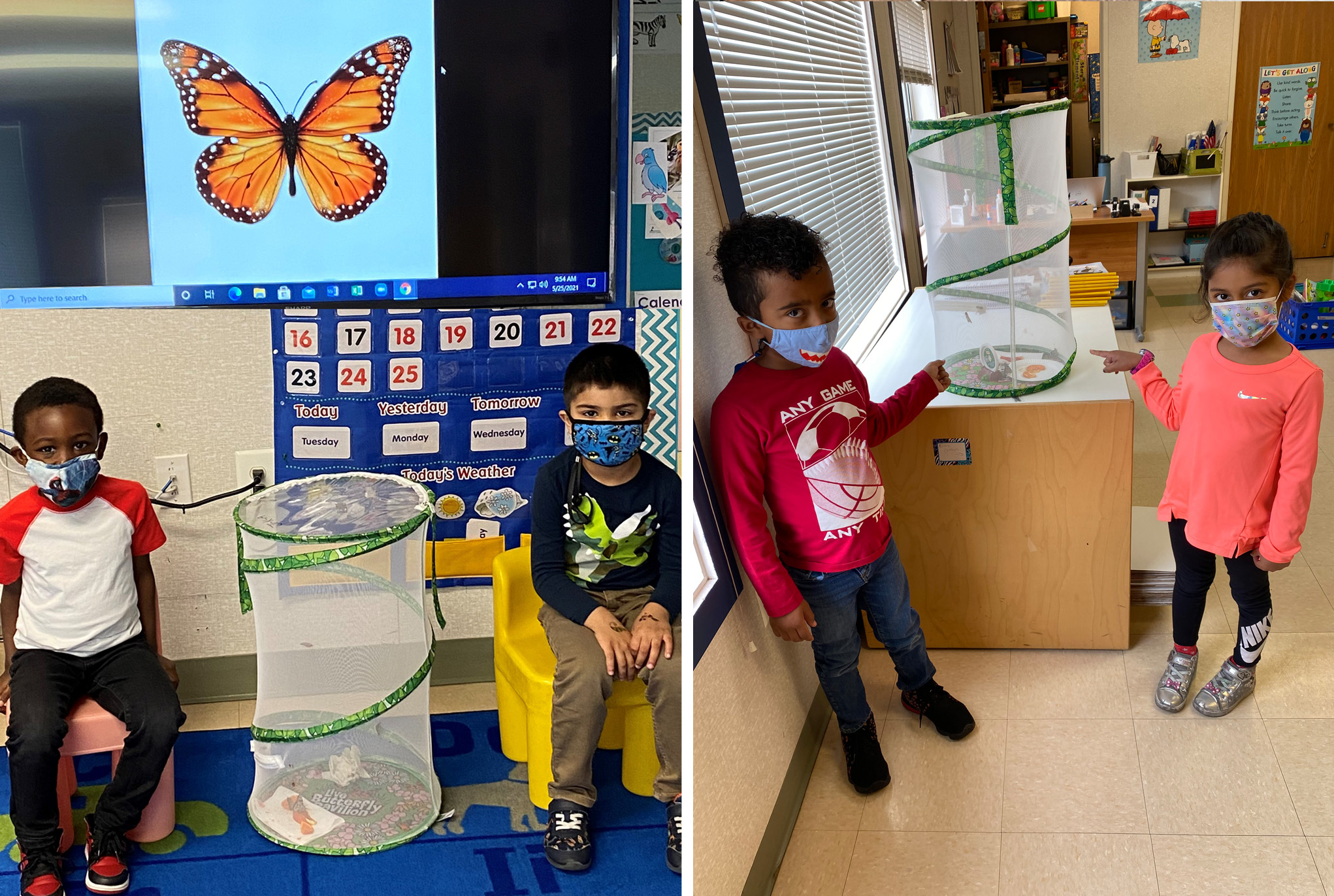 Pre-Kindergarten Butterflies