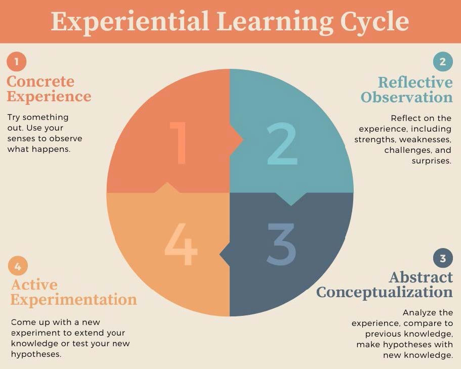 Experiential Learning Cycle