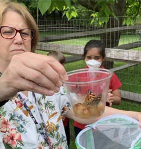 CHP Experiential Learning-butterflies