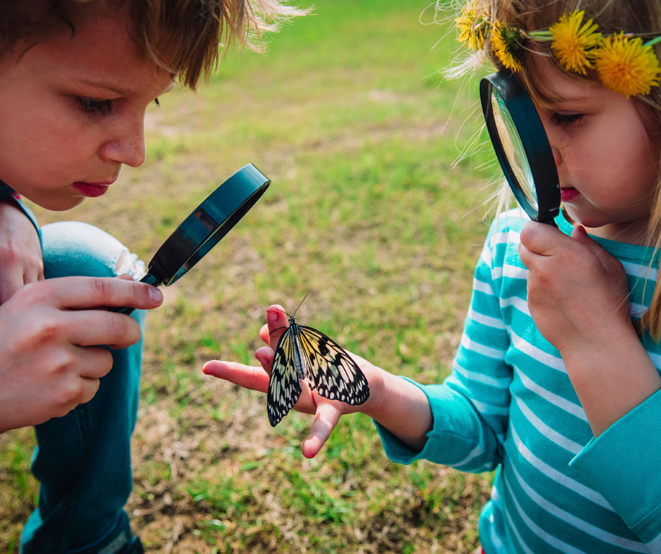 Preparatory School Near Pennsylvania, Preschool–8th Grade: Cedar Hill Preparatory School: Embracing Nature-Based Education: Exploring Forest, Outdoor, and Nature Schools