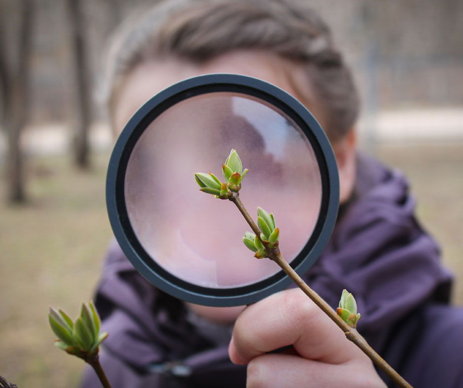 Preparatory School Near Pennsylvania, Preschool–8th Grade: Cedar Hill Preparatory School: Embracing Nature-Based Education: Exploring Forest, Outdoor, and Nature Schools