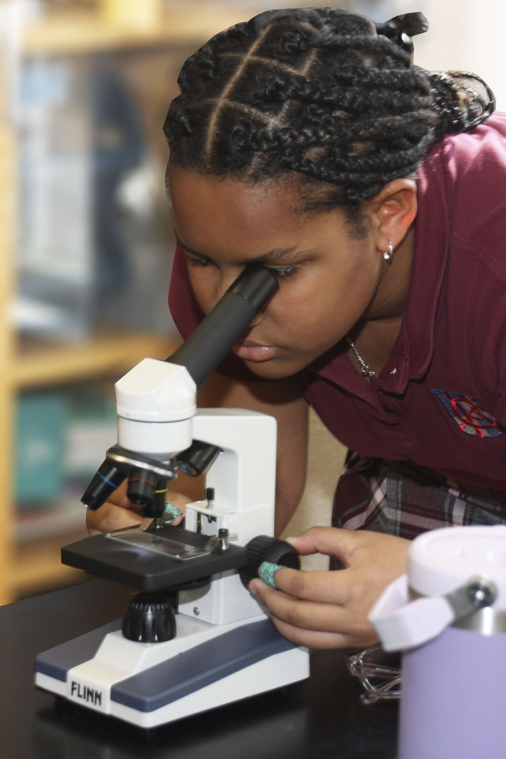 Middle School Curriculum